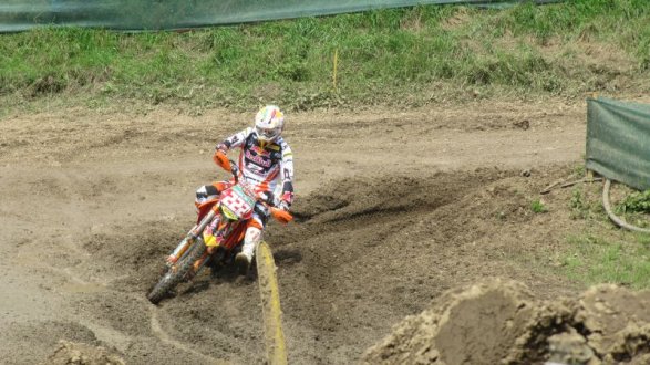 Cairoli